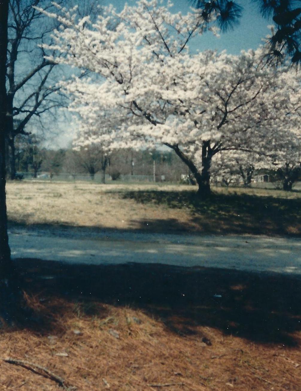 Photograph captured by James.