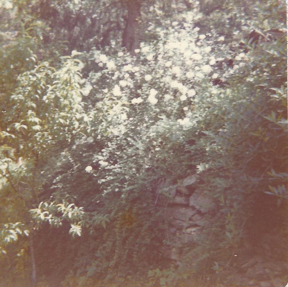 Photograph captured by James.