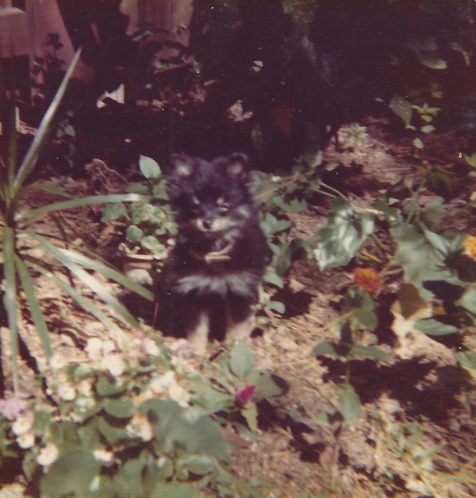 Photograph captured by James.