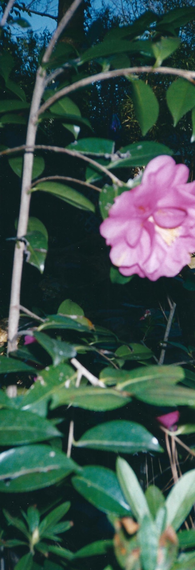 Photograph captured by James.