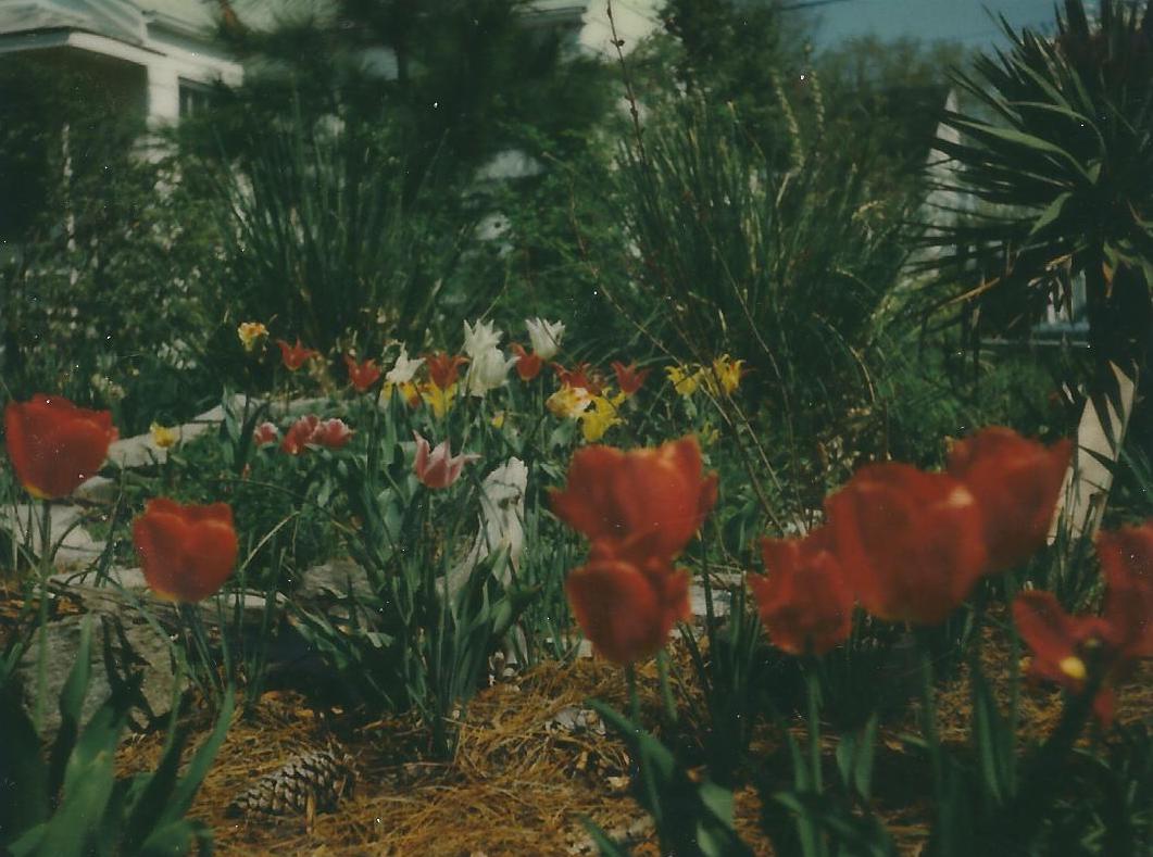 Photograph captured by James.